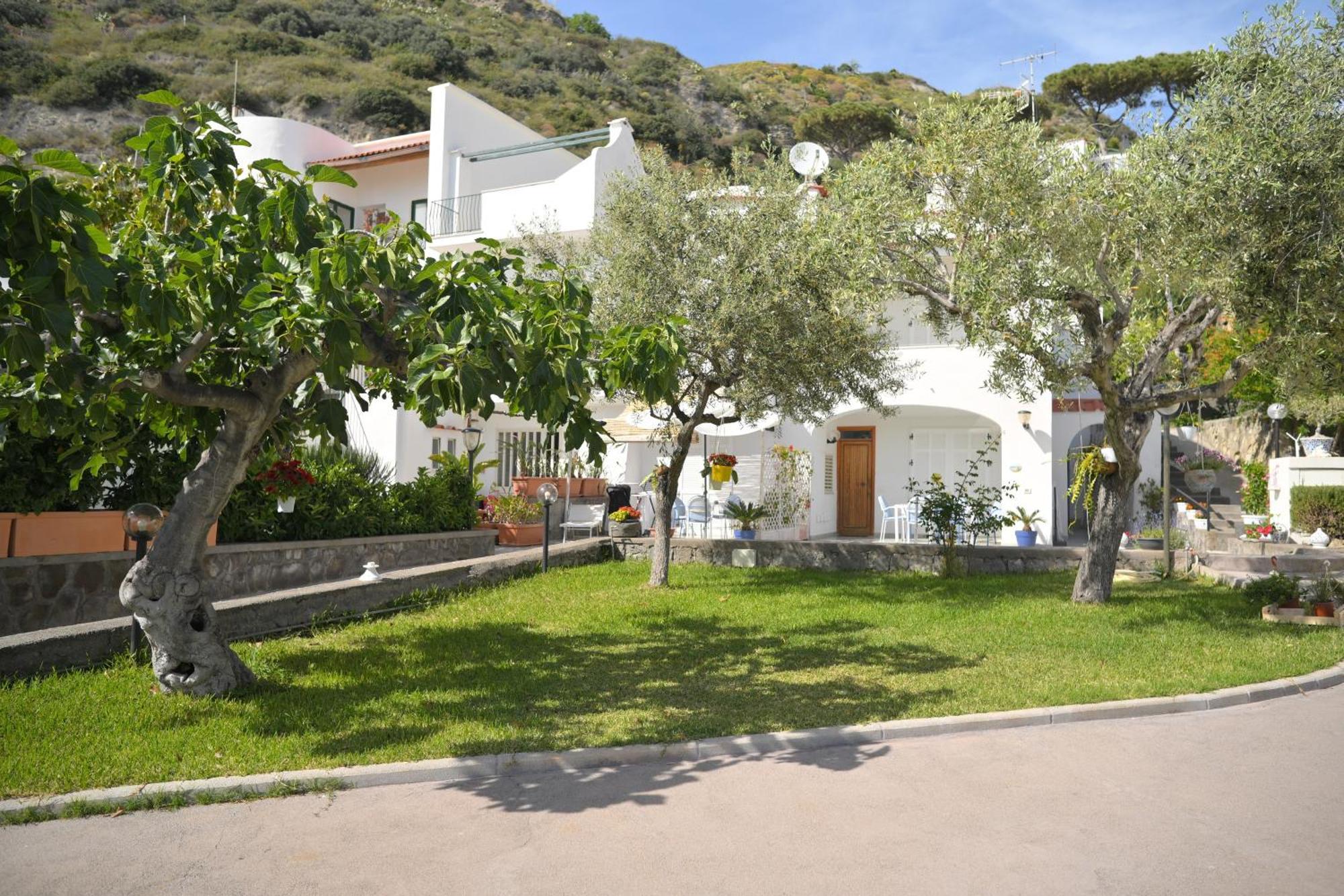 Blu Maronti Apartment Barano dʼIschia Екстериор снимка