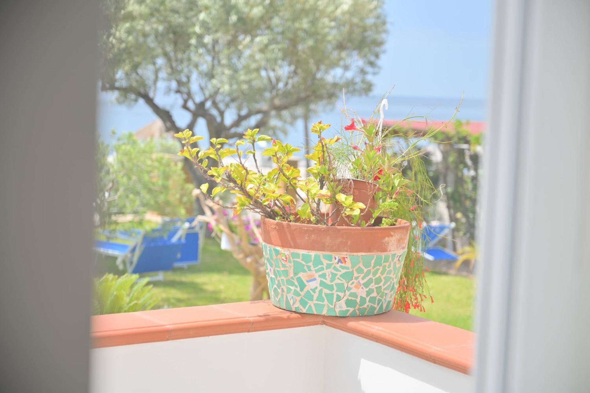 Blu Maronti Apartment Barano dʼIschia Екстериор снимка